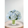 Joyful Inspirations Hydrangea - Premium. An arrangement by Blossoms On The Trail.