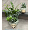 Woodland Hedgehog Family - Standard. An arrangement by Fellows Fernlea Flowers.