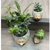 Woodland Hedgehog Family - Deluxe. An arrangement by Fellows Fernlea Flowers.
