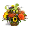 Autumn Basket - Deluxe. An arrangement by NJ Bergen Florist At Northvale.