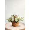 Peaceful Garden Basket - Standard. An arrangement by Blossoms On The Trail.
