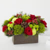 FTD Bundled Up - Premium. An arrangement by Pierson's Flower Shop and Greenhouses.