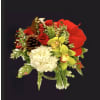 Crimson Orchid Elegance Centrepiece - Premium. An arrangement by Hillcrest Florist.