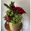 Holiday Cheer Mixed Planter - Standard. An arrangement by Linda's Floral Designs.