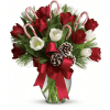 Holiday Tulip Cheer - Deluxe. An arrangement by Kitchener Ontario Florist.