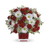 Cherished Daisy Embrace - Premium. An arrangement by Flore's Shop.