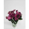 Mini Wrap Cala Lilies - Premium. An arrangement by Brickell Exclusive Blooms.