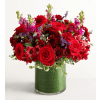 Vivid Devotion - Premium. An arrangement by Garden Florist.