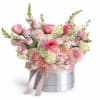 Gentle Whispers Bloom - Standard. An arrangement by Geni's Florist and Gifts.