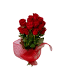 A Dozen Red Roses - Deluxe. An arrangement by Aylmer Flowers and Gifts.