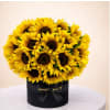 Sunshine in a Box - Premium. An arrangement by Geni's Florist and Gifts.