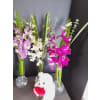Orchid Trio - Premium. An arrangement by Pandora's Posies.