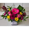 Springtime Joy - Deluxe. An arrangement by Avenue Florist.