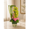 Cymbidium Orchid With Roses - Premium. An arrangement by Brickell Ave Florist.