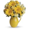 Yellow Grace Pitcher - Premium. An arrangement by Flore's Shop.
