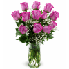 Classic Deep Purple Roses - Standard. An arrangement by Anderson Flowers.