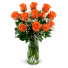 Classic Orange Roses - Premium. An arrangement by Floratechnics.