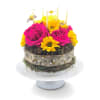 Nature's Sweet Symphony Cake - Standard. An arrangement by Appleblossoms Flowers Gifts and More.