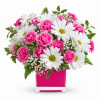 Pink and White Delight - Deluxe. An arrangement by Balloon Bouquets Plus.