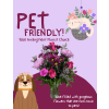 Pet Friendly Florist Choice - Standard. An arrangement by Osborne Florist.