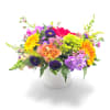 Kaleidoscope of Blooms - Standard. An arrangement by Appleblossoms Flowers Gifts and More.
