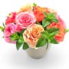 Summer Sorbet - Standard. An arrangement by Appleblossoms Flowers Gifts and More.