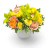 Golden Daydream - Deluxe. An arrangement by Appleblossoms Flowers Gifts and More.