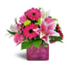 Into Pink - Standard. An arrangement by Donato's Floral.