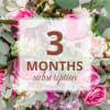 3 Month Flower Subscription - Standard. An arrangement by J.D. Ballantine's Flowers and Gifts.