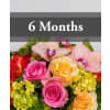 6 Month Flower Subscription - Deluxe. An arrangement by J.D. Ballantine's Flowers and Gifts.