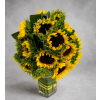 Radiant Sunflowers - Standard. An arrangement by Doral Flower District and Design.