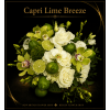 Capri Lime Breeze - Deluxe. An arrangement by New Britain Flower Shop.