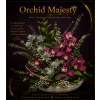 Orchid Majesty - Deluxe. An arrangement by New Britain Flower Shop.