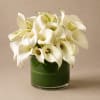 The Symphony - Standard. An arrangement by Bill's Flowers Arrangements.