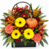 Harvest Harmony Bloom Bag - Premium. An arrangement by New Britain Flower Shop.