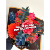 Spellbound Bouquet (No Vase) - Standard. An arrangement by Brooklin Floral and Garden Shoppe Inc..