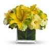 Oh Happy Day by Teleflora standard