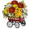 Baby's Wow Wagon by Teleflora - Girl standard