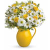 Teleflora's Sunny Day Pitcher of Daisies deluxe