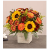 Heartfelt Radiance™ Bouquet for Sympathy premium