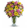 Teleflora's Dazzling Day Bouquet premium