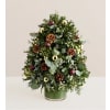 Woodland Noel™ Tree - Deluxe. An arrangement by Sicola's Florist.