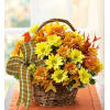 Fall Daisy Basket deluxe