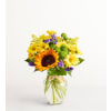 Fields of Europe™ for Summer - Standard. An arrangement by Graceland Florist.