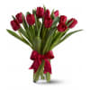 Radiantly Red Tulips standard