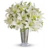 Written in the Stars by Teleflora premium