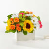 The Sun-Drenched Blooms Box deluxe