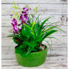 Lush Green Ceramic Garden deluxe