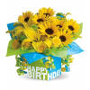 Teleflora's Sunny Birthday Present premium