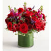 Vivid Devotion - Premium. An arrangement by Lovingly.